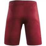 CALÇÕES ACERBIS ASTRO BORDEAUX - Image 3