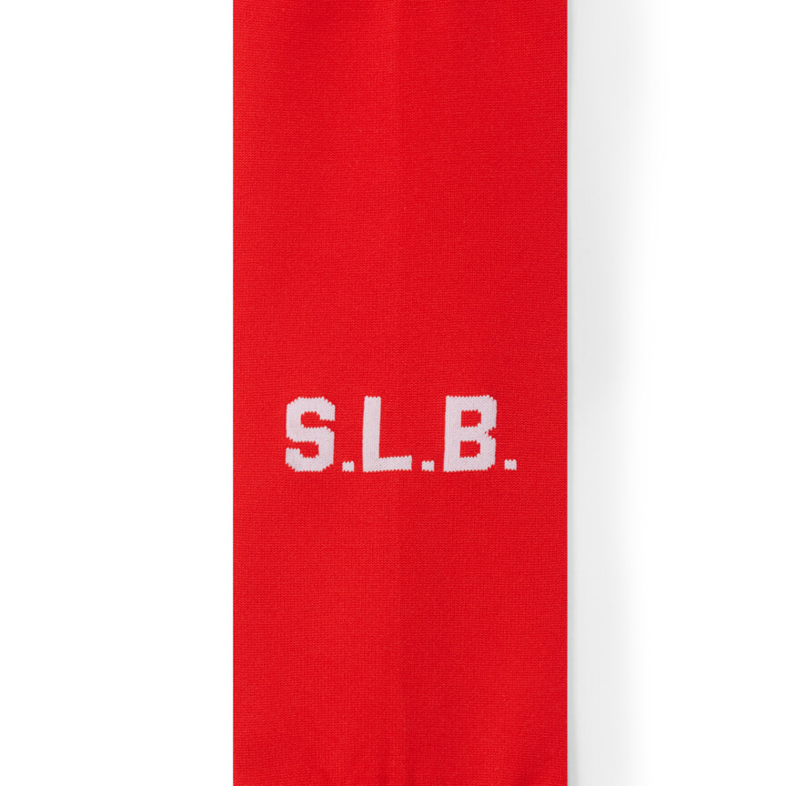 replica_meias_equipamento_principal_slbenfica_2024_2025_13 Réplica Meias Equipamento Principal SL Benfica 2024-2025 - Image 3